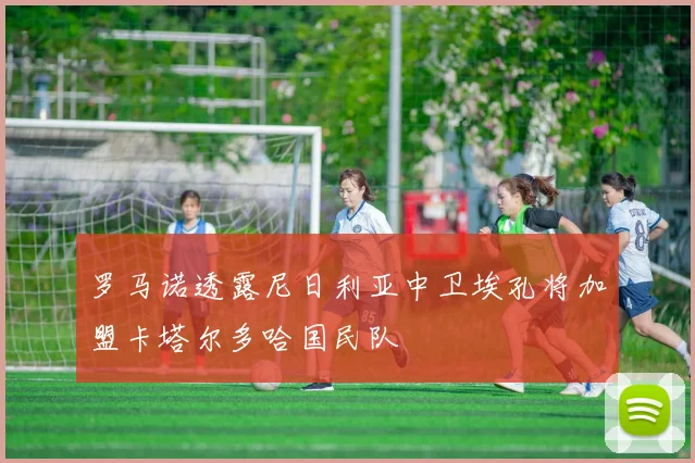 罗马诺透露尼日利亚中卫埃孔将加盟卡塔尔多哈国民队