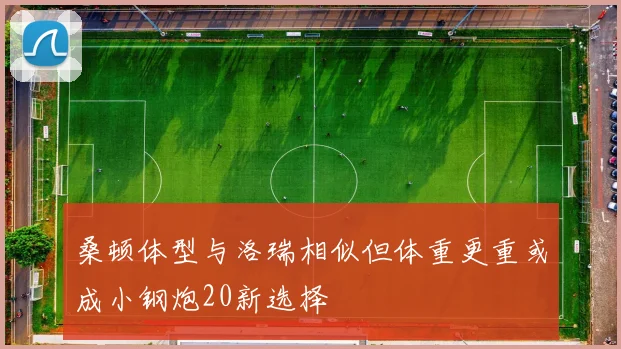 桑顿体型与洛瑞相似但体重更重或成小钢炮20新选择